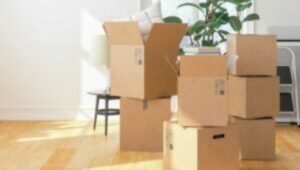 Packers and Movers Whitefield