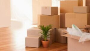 Packers and Movers Vasanth Nagar