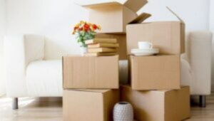 Packers and Movers Kadugodi