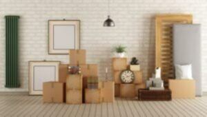 Packers and Movers HSR Layout