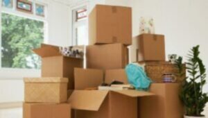 Packers and Movers Hoodi