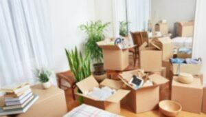 Packers and Movers Horamavu