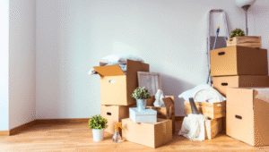 Packers and Movers Electronic City