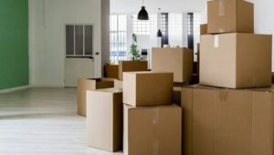 Packers and Movers Domlur