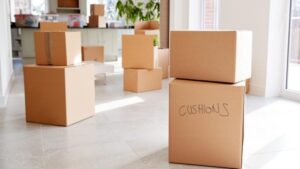 Packers and Movers CV Raman Nagar