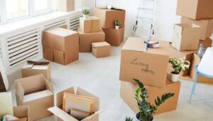 Packers and Movers Brookefield