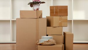 Packers and Movers Bommasandra