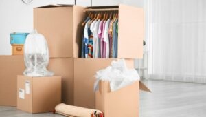 Packers and Movers Bikkanahalli