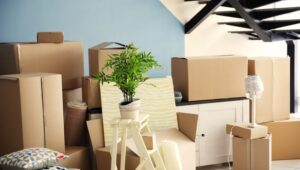Packers and Movers Austin Town